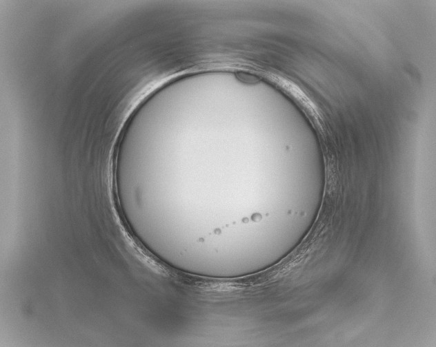 X0000115771431200912041422