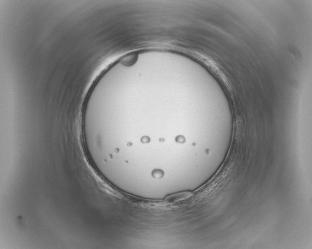 X0000115771432200912041422