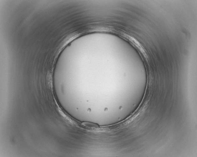 X0000115771433200912041422