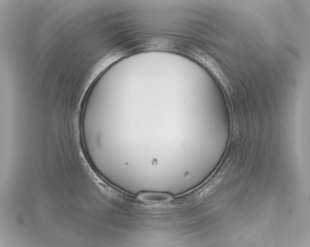 X0000115771434200912041422