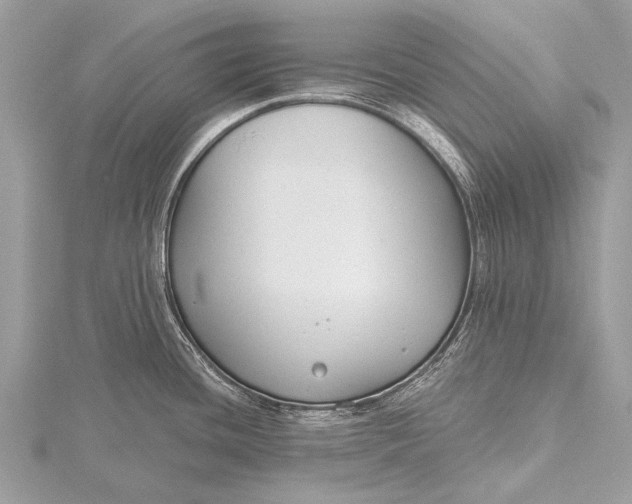 X0000115771436200912041422