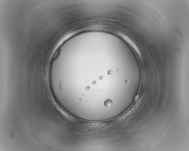 X0000115771437200912041422