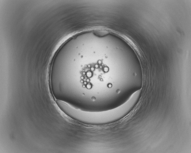 X0000115771438200912041422