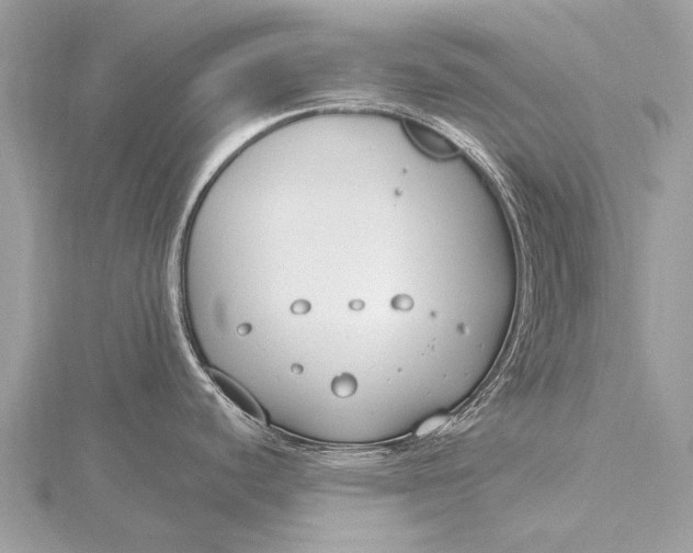 X0000115771440200912041422