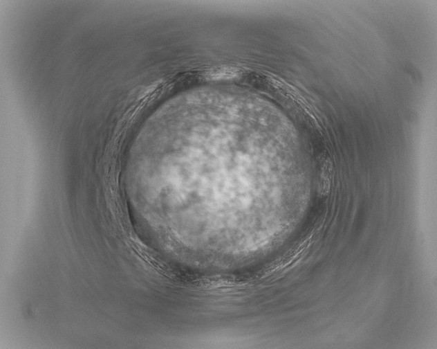 X0000115771441200912041422