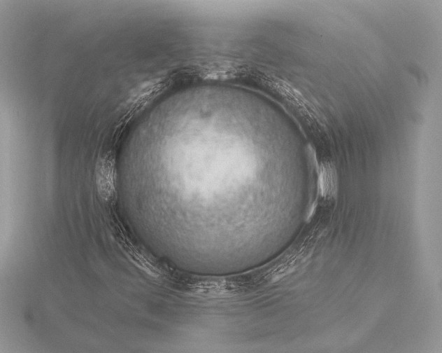 X0000115771444200912041422