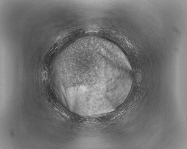 X0000115771445200912041422