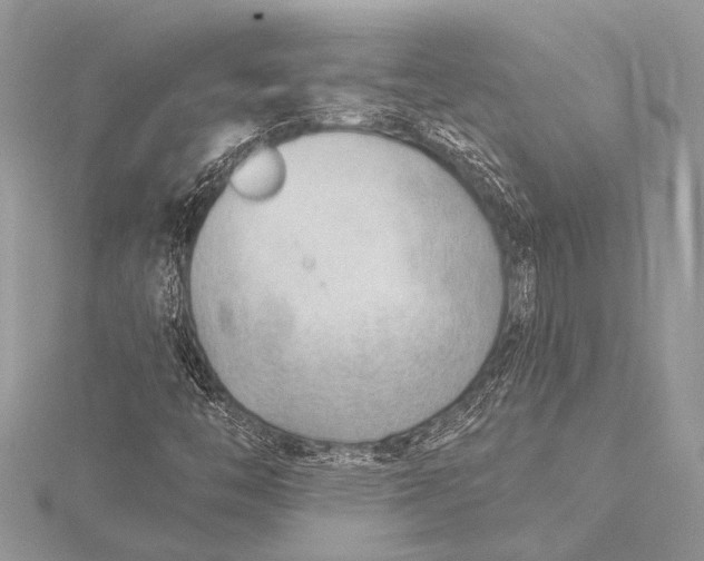 X0000115771446200912041422