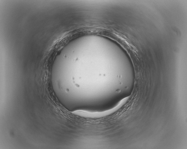 X0000115771447200912041422