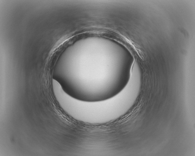 X0000115771448200912041422