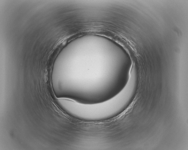 X0000115771449200912041422