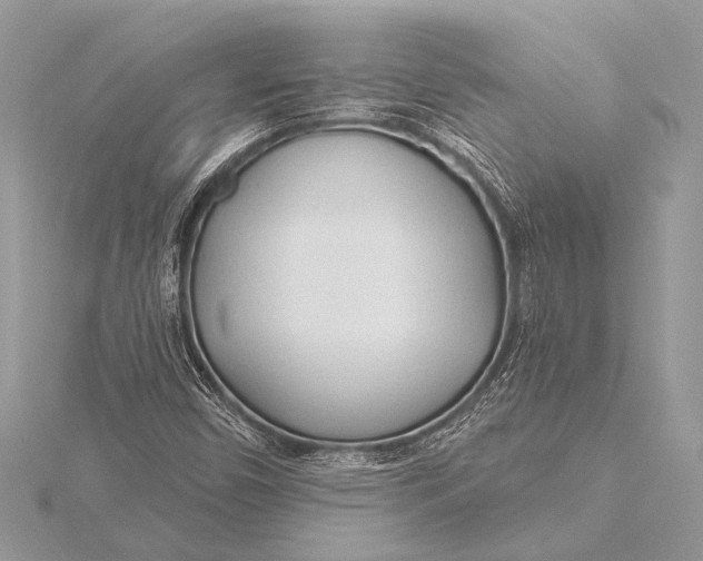 X0000115771450200912041421