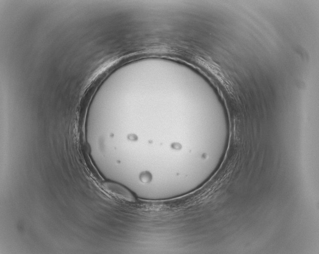 X0000115771452200912041421