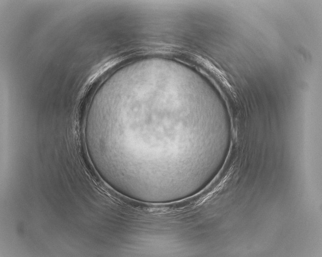 X0000115771453200912041421