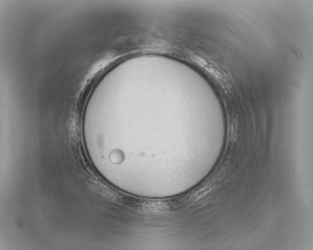 X0000115771454200912041421