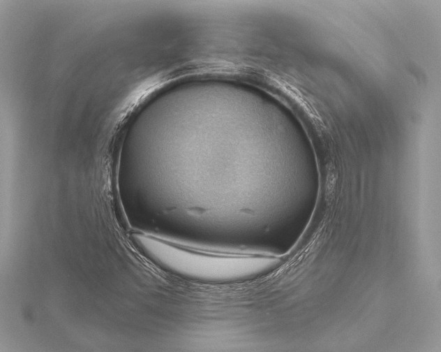 X0000115771455200912041421