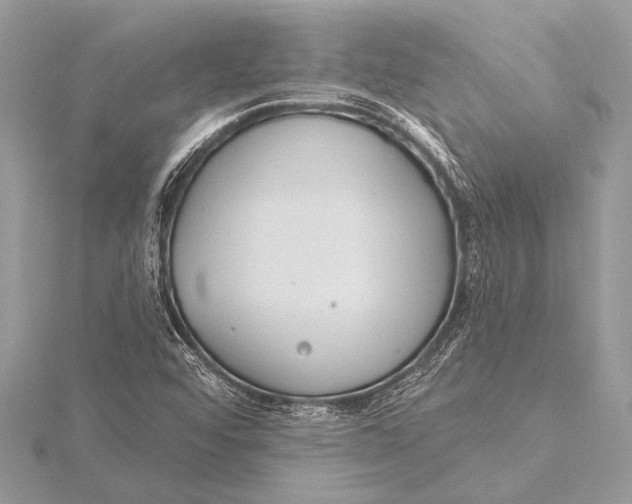 X0000115771456200912041421