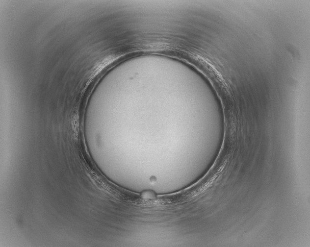 X0000115771457200912041421