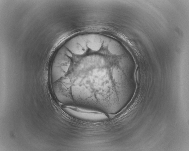 X0000115771459200912041421