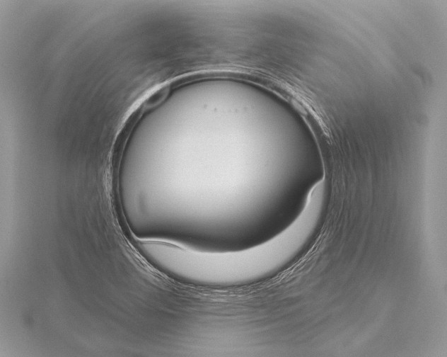 X0000115771460200912041421