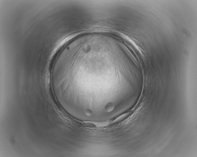 X0000115771461200912041421