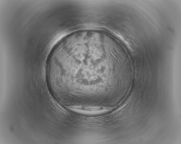 X0000115771463200912041421