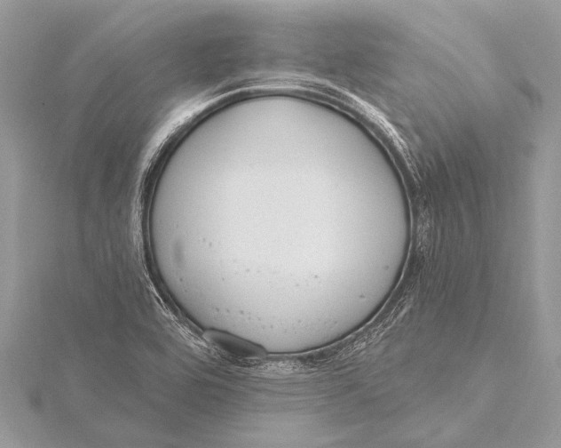 X0000115771464200912041421