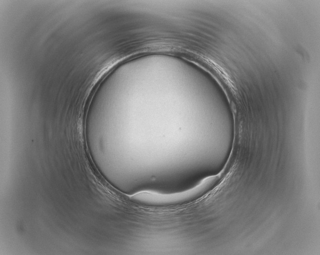 X0000115771465200912041421