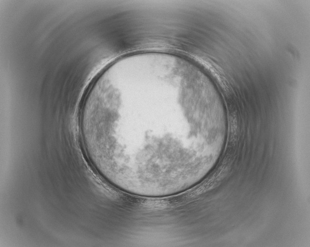 X0000115771466200912041421