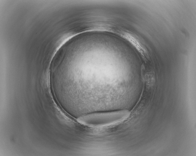 X0000115771468200912041421