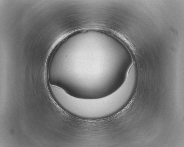 X0000115771469200912041421