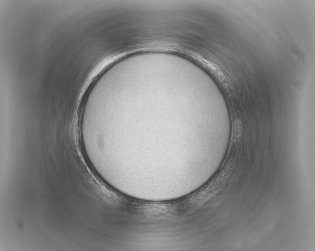 X0000115771470200912041421