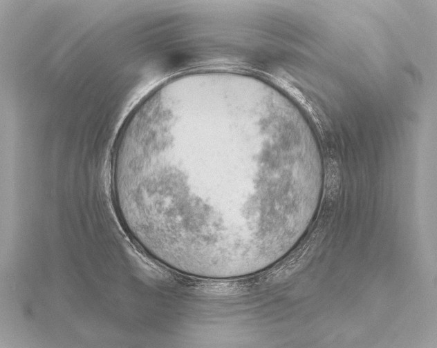 X0000115771474200912041421