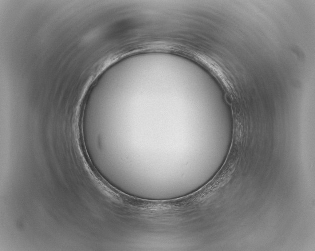 X0000115771475200912041421