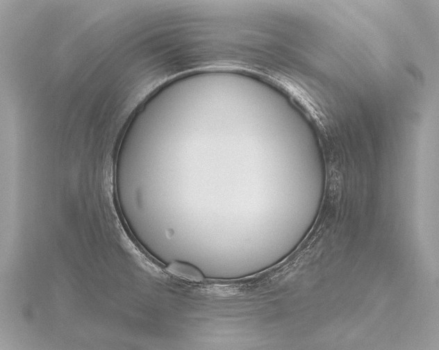 X0000115771476200912041421