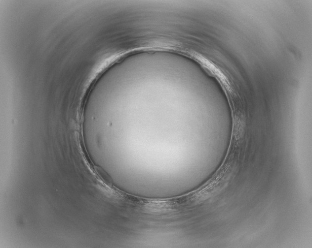 X0000115771477200912041421