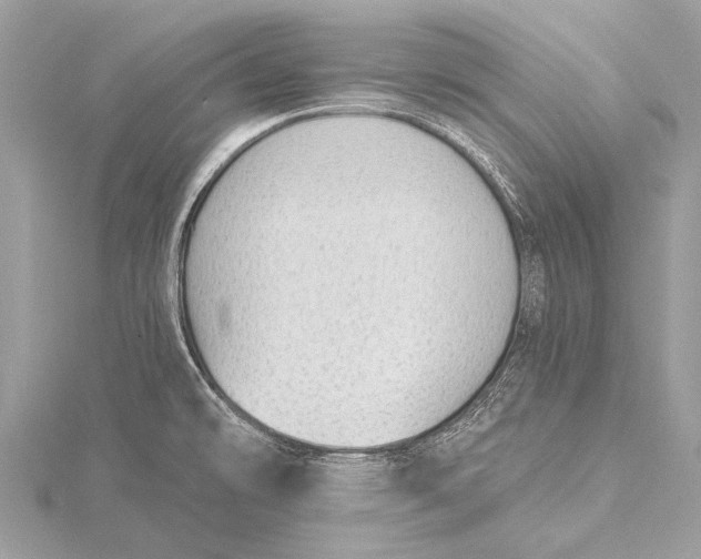 X0000115771478200912041421