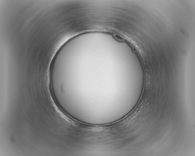 X0000115771479200912041421