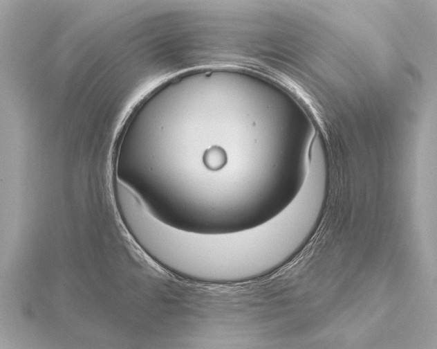 X0000115771480200912041421