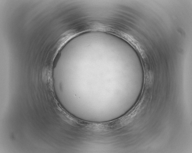 X0000115771481200912041421