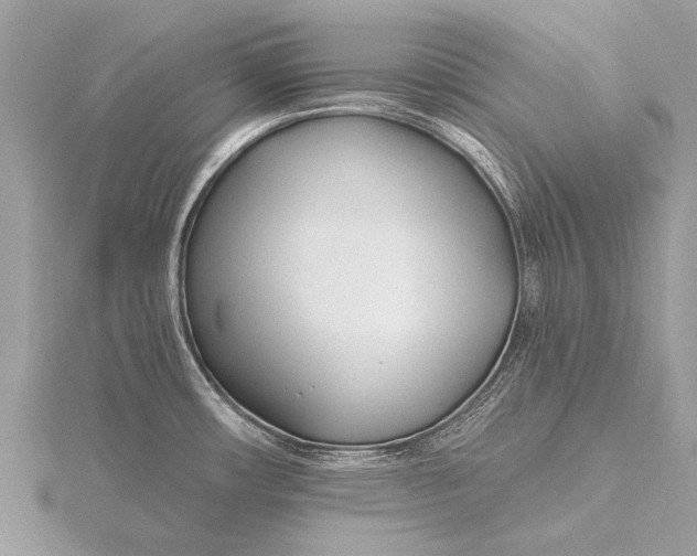 X0000115771482200912041421