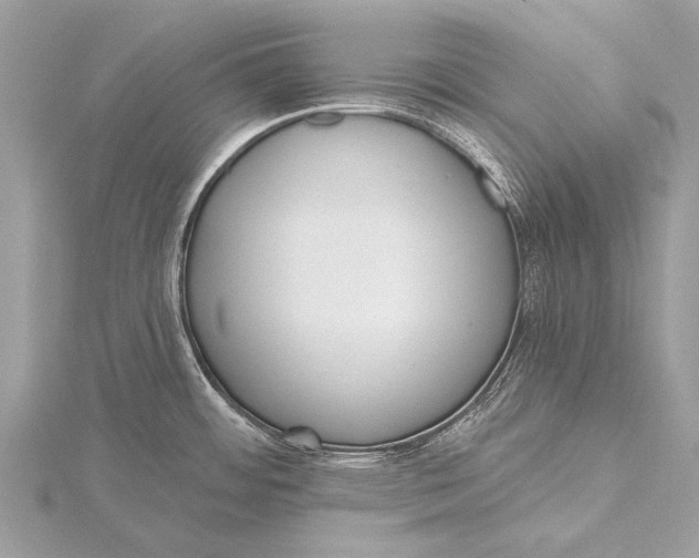 X0000115771484200912041421