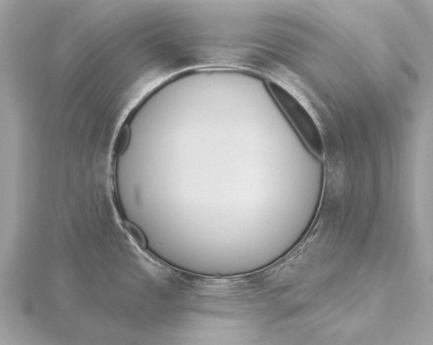 X0000115771485200912041421