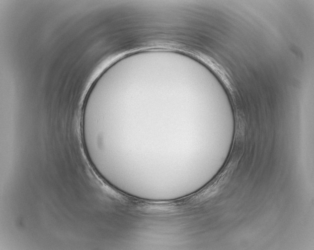 X0000115771486200912041421