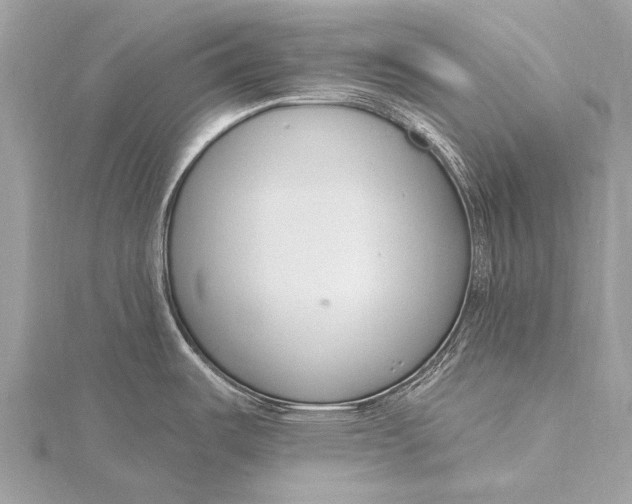 X0000115771487200912041421