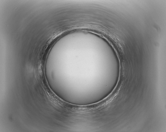 X0000115771497200912041420