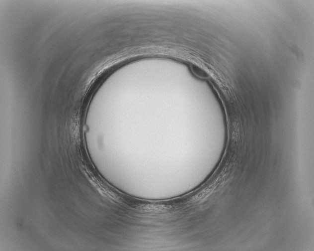 X0000115771499200912041420