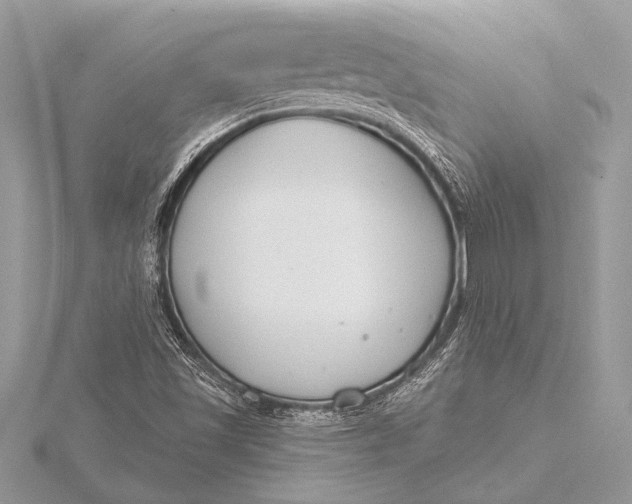 X0000115771501200912041420