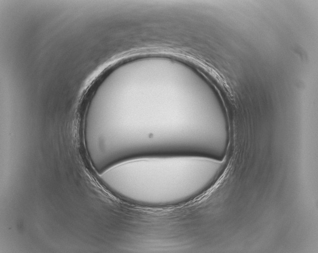 X0000115771502200912041420