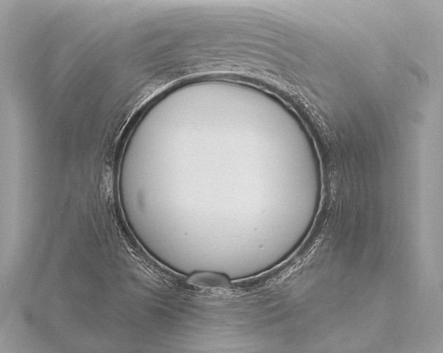 X0000115771505200912041421